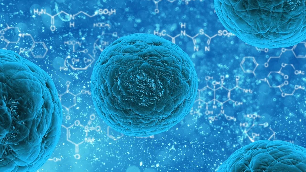 Anti-Infectives category